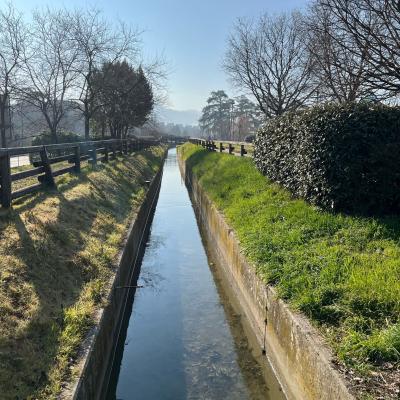 Canale Savena, Canali di Bologna