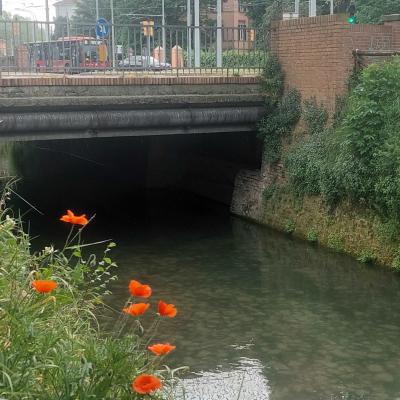 Ponte del Ghisello canale reno